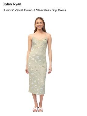 Dylan Ryan Sage Floral Velvet Burnout Slip Dress